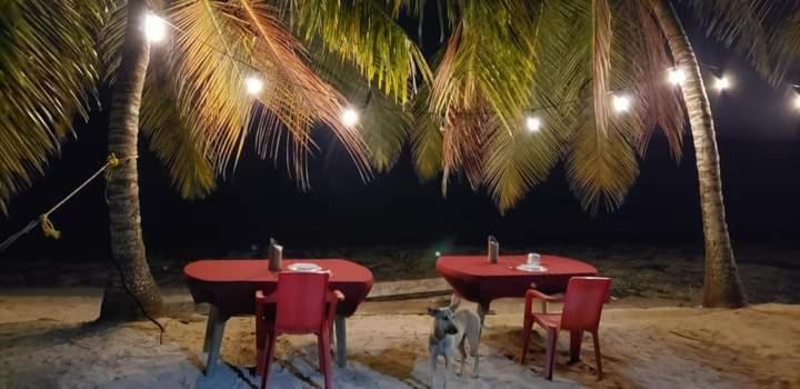 Casa Rural El Paraiso De Saona Mano Juan Dış mekan fotoğraf