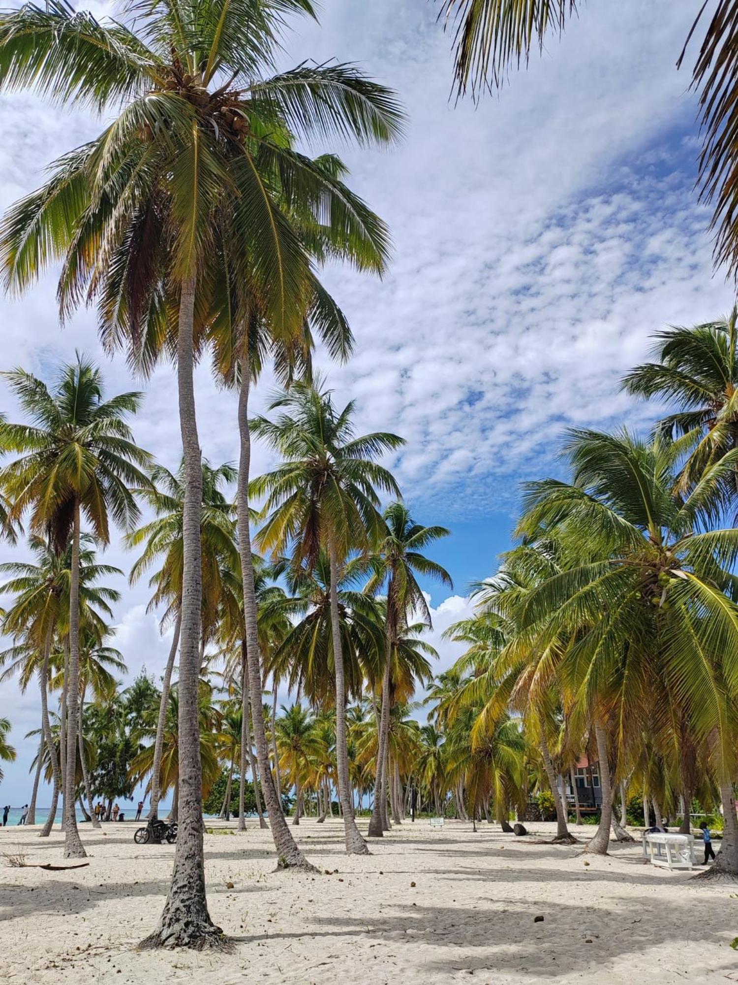 Casa Rural El Paraiso De Saona Mano Juan Dış mekan fotoğraf